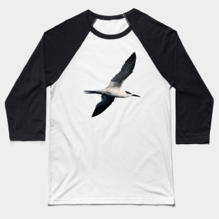 Sandwich Tern Seagull Bird In Flight Cut Out Baseball T-Shirt